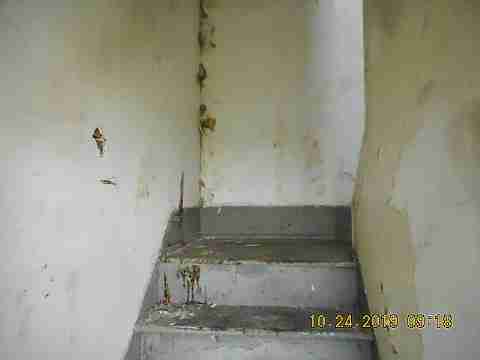 14036 Marlowe (7)_m.jpg